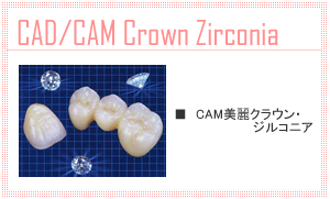 CAM美麗クラウン・ジルコニア