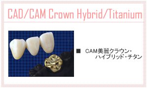 CAM美麗クラウン・ハイブリッド・チタン