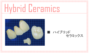 ハイブリッドセラミックス