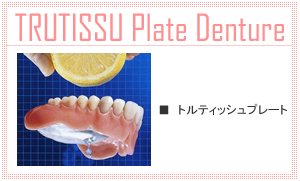 トルティッシュプレート